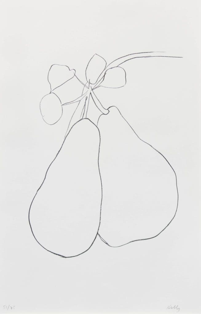 "Pear", Lithograph, 54.5 x 32.35 in.
