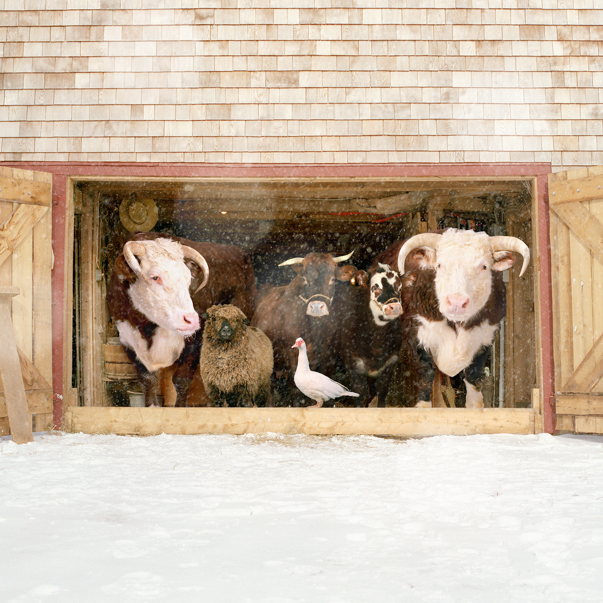 "Farm Family II" by Rob MacInnis