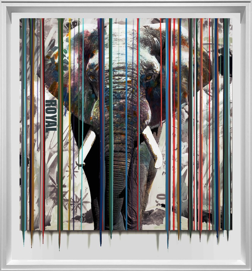 SRINJOY - ICON ELEPHANT