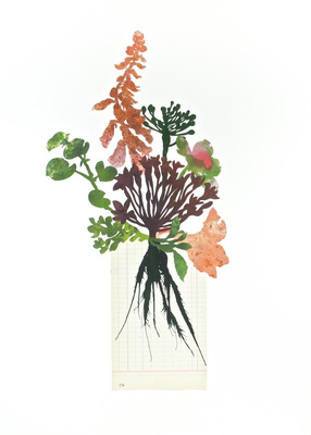  Title: BLOOMS + STEMS 2 , Size: 30 X 22; 32.5 X 24.5 , Medium: Mixed Media on Paper , Price: $1,850