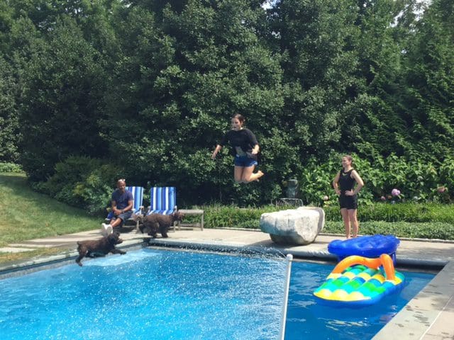 Pool privileges are not restricted to humans only...