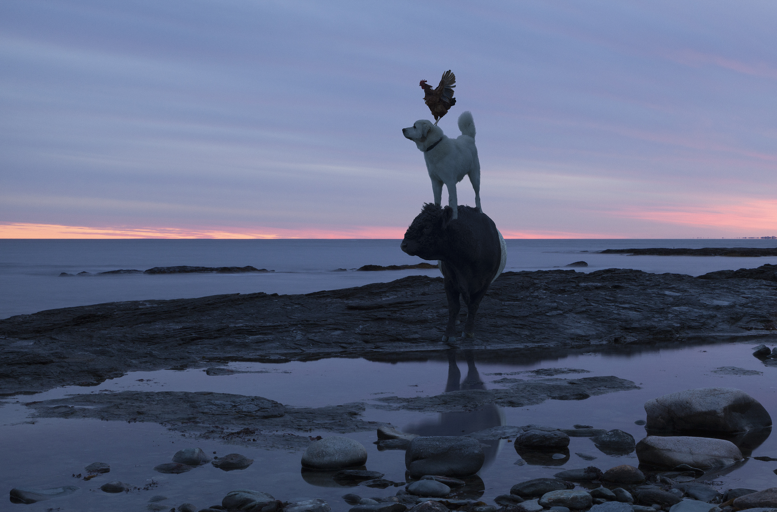 Photograph by Rob MacInnis